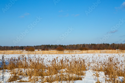 Wallpaper Mural Landscape winter snow overlooking the paddock and wood village. The Grand Nature with snow cover on a Sunny day. Early spring in the wilderness comes gently. Torontodigital.ca