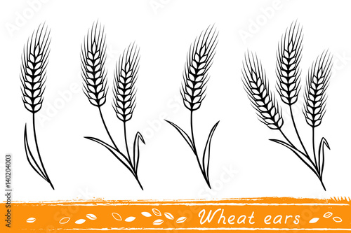 set of wheat ears