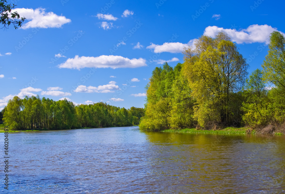 Obraz premium River in Spring. Nature composition
