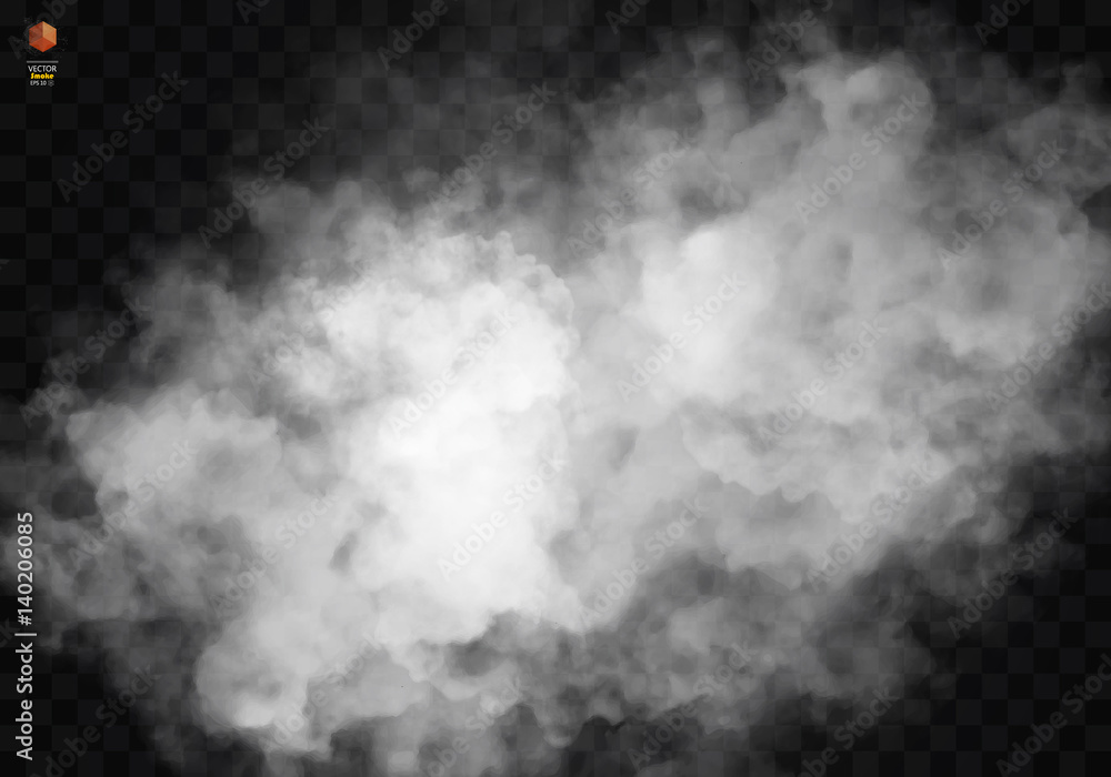 Fototapeta premium Fog or smoke isolated transparent special effect. White vector cloudiness, mist smog background. illustration