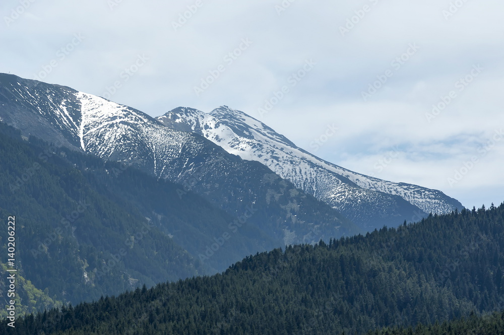 Scene with mountain top and coniferous forest  in the high peak of Rila mountain, Bulgaria