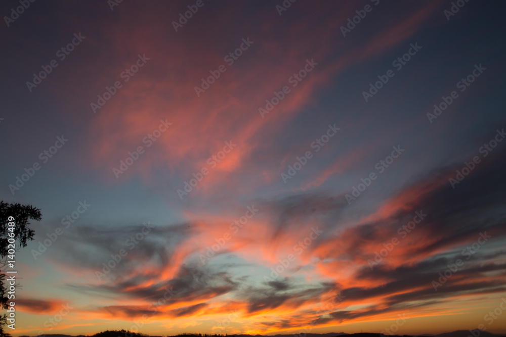 Fototapeta premium Beautiful red sunset over the field and forest