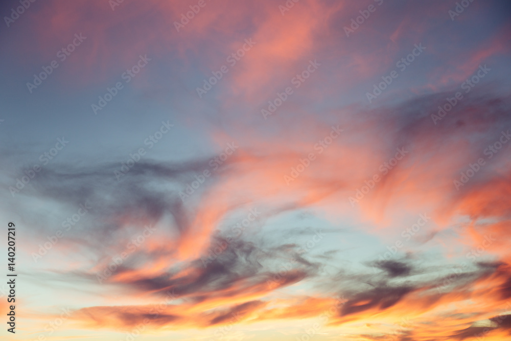 Naklejka premium Beautiful red sunset over the field and forest