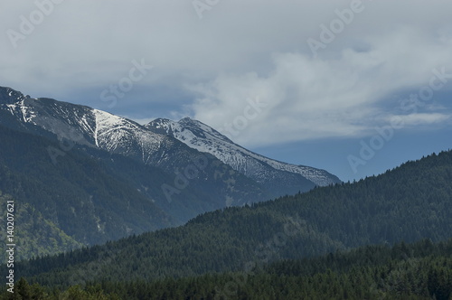 Scene with mountain top and coniferous forest in the high peak of Rila mountain, Bulgaria