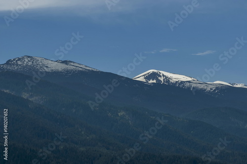 Scene with mountain top and coniferous forest  in the high peak of Rila mountain, Bulgaria © vili45