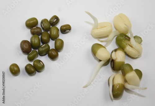 Germinated and dry mung bean pieces comparsion on white background photo