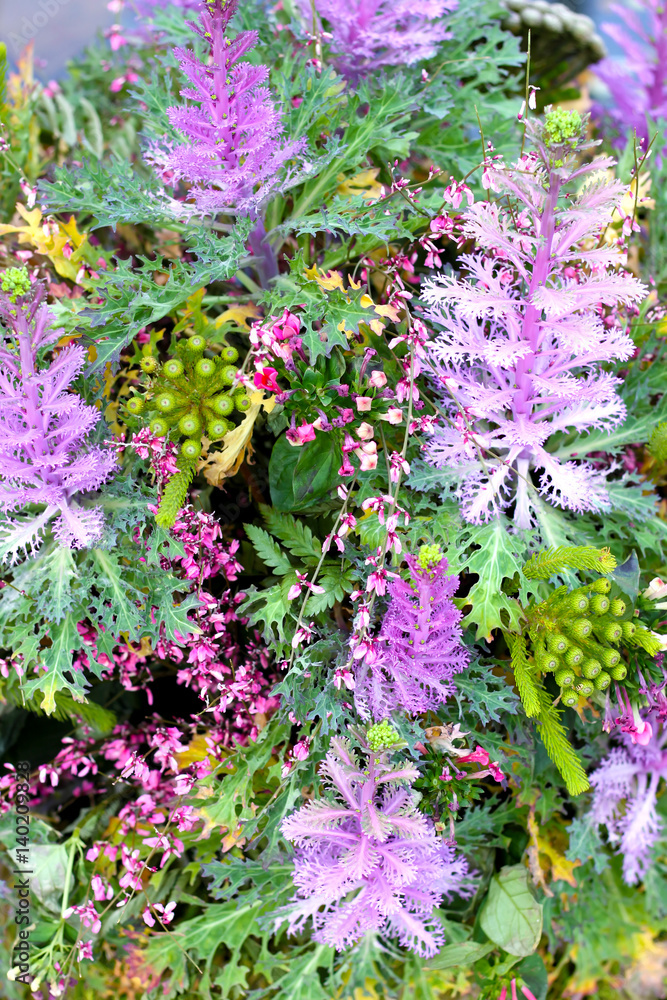 Obraz premium Beautiful flower exquisite composition