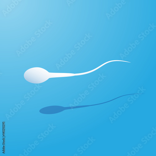 Human sperm cell and male fertility