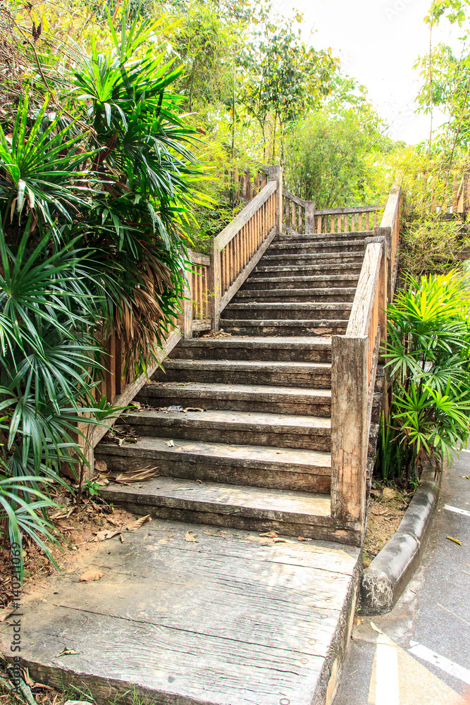  stairs in garden