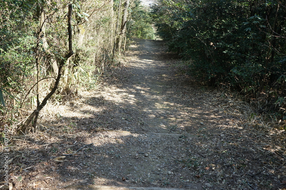 Fototapeta premium 登山