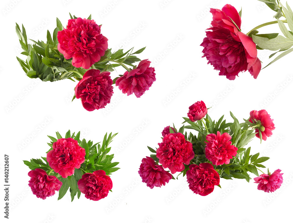 Set the beautiful bouquet of pink peonies Set the beautiful bouquet of pink peonies