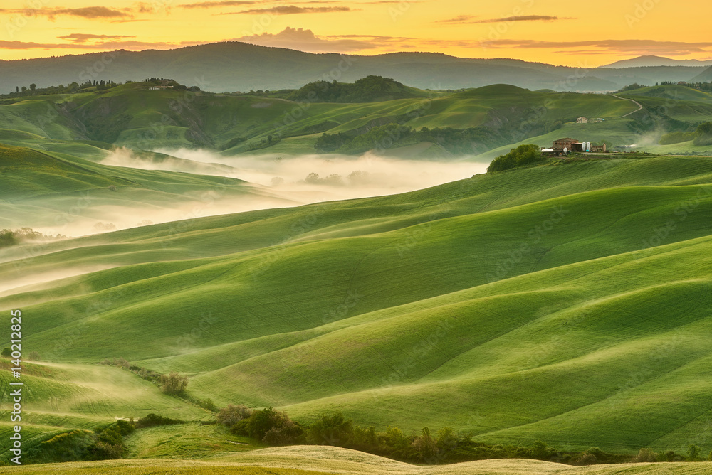 Fresh Green tuscany landscape in spring time - wave hills, cypresses trees, green grass and beautiful blue sky. Tuscany, Italy, Europe
