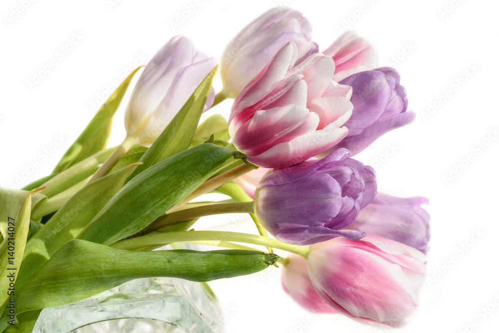tulips flowers bouquet white background tulips flowers bouquet white background