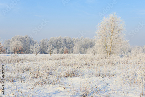 Beautiful winter landscape © Piotr Krzeslak