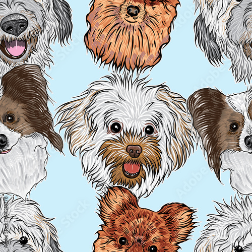 Seamless pattern with purebred cute character portrait dogs. Hand drawn vector wallpaper surface texture with small puppy Labradoodle, Collie, Pug, French Bulldog . Friendly doggy endless background.