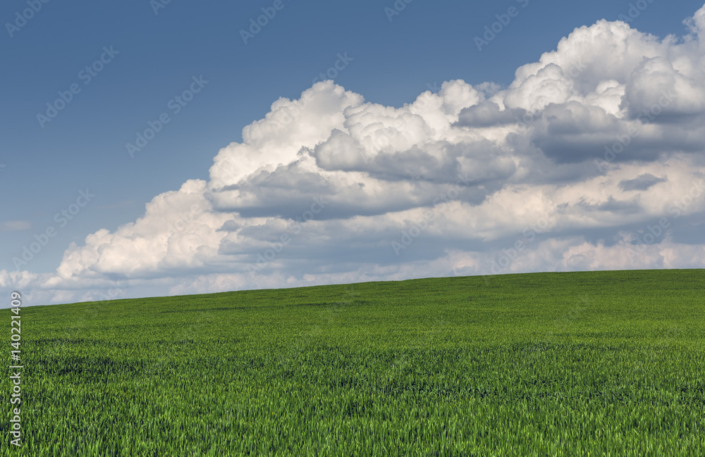 Spring scene with vast green wheatfield and heavy stormy cumulonimbus clouds. Spring scene with vast green wheatfield and heavy stormy cumulonimbus clouds.