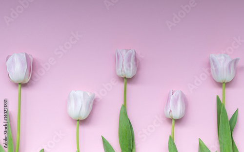 Fototapeta Naklejka Na Ścianę i Meble -  Creative mockup made of pink tulips rhythmically arranged on blue background. Flat lay.