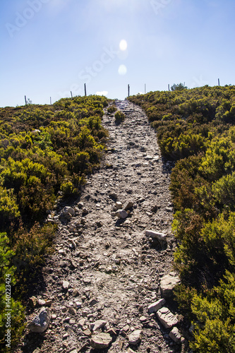Mountain rural path in Segovia, Central Spain