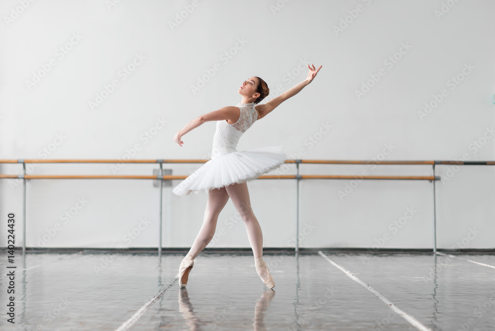 Naklejka premium Beautiful ballerina rehearsal in ballet class