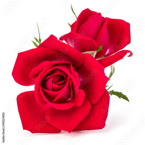 red rose flower bouquet isolated on white background cutout