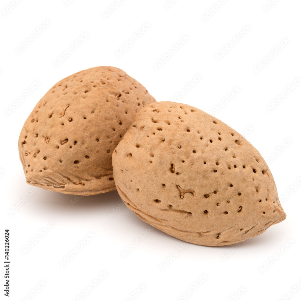 Almond nut in shell isolated on white background close up Almond nut in shell isolated on white background close up