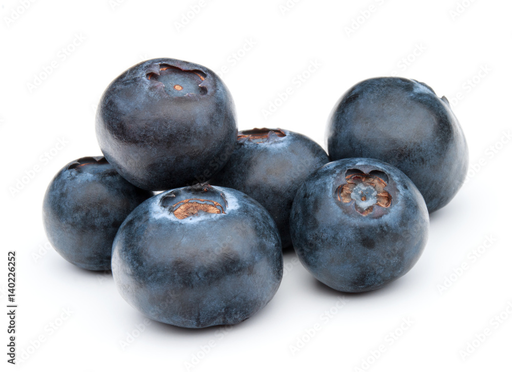 blueberry or bilberry or blackberry or blue whortleberry or huckleberry isolated on white background cutout blueberry or bilberry or blackberry or blue whortleberry or huckleberry isolated on white background cutout
