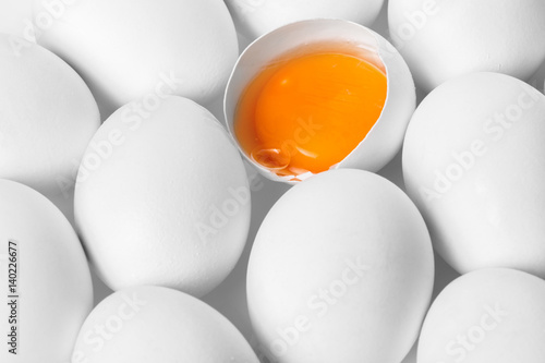 chicken white eggs closeup