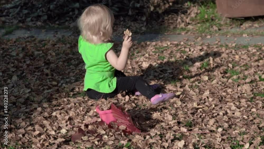 Cute baby girl playing with leaves in autumn Cute baby girl playing with leaves in autumn