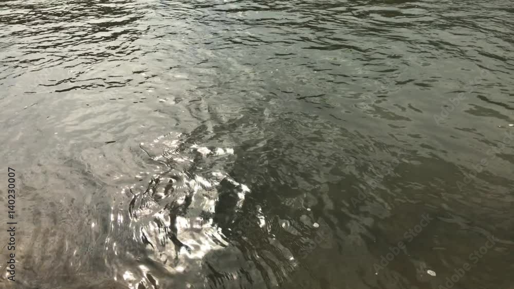 Sunny reflective water surface close-up 4K 2160p 30fps UltraHD footage - Relaxing shiny green river flow passing by 3840X2160 UHD video.mov
Sunny reflective water surface close-up 4K 2160p 30fps UltraHD footage - Relaxing shiny green river flow passing by 3840X2160 UHD video.mov