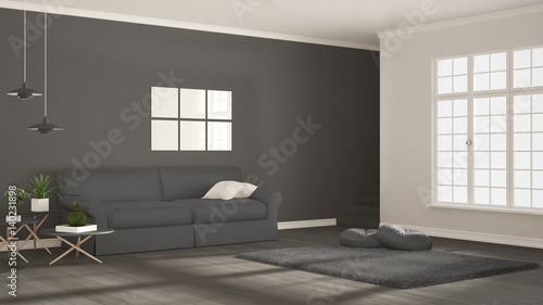 Minimalist simple clear living, scandinavian gray classic interior design
