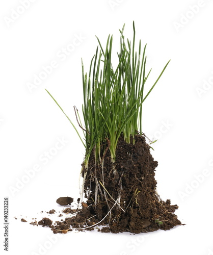 green grass with dirt, isolated on white