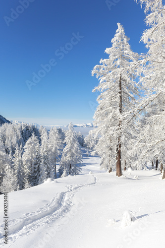 Winter in den Alpen