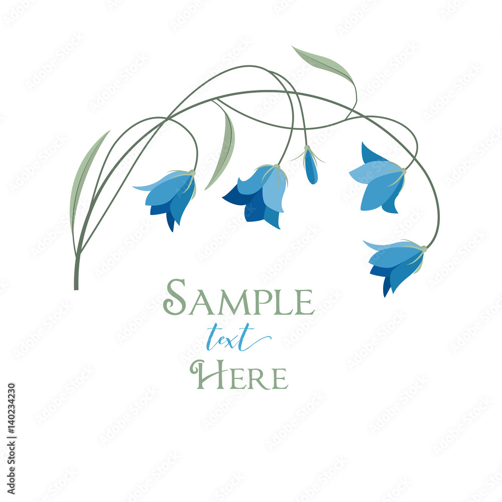 Summer flower campanula