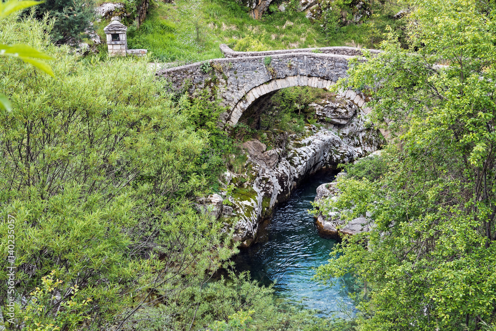 Fototapeta premium Traditional stone bridge in Thessaly, Greece