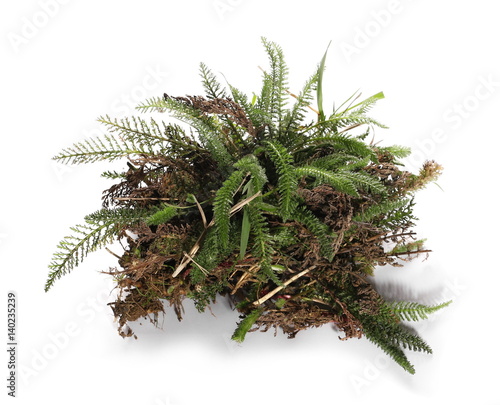 Quadro em tela Grass with dirt, isolated on white