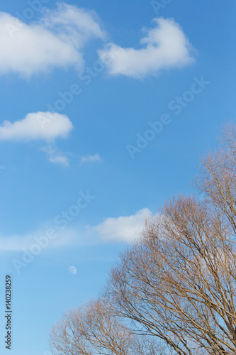 Cumulus white air clouds against blue sky