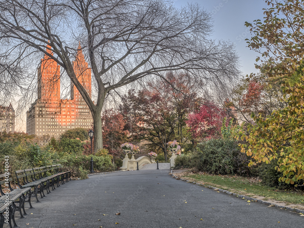Naklejka premium Bow bridge Central Park