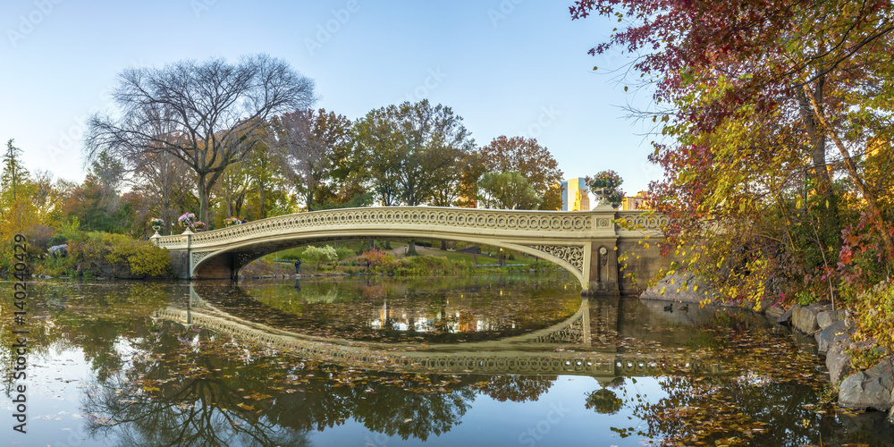 Fototapeta premium Bow bridge Central Park