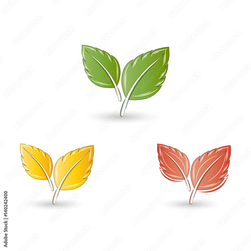 Fototapeta premium Set of leaves. Element for design. Vector illustration