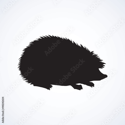 Hedgehog. Vector drawing
