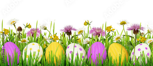 Easter eggs, grass and wild...