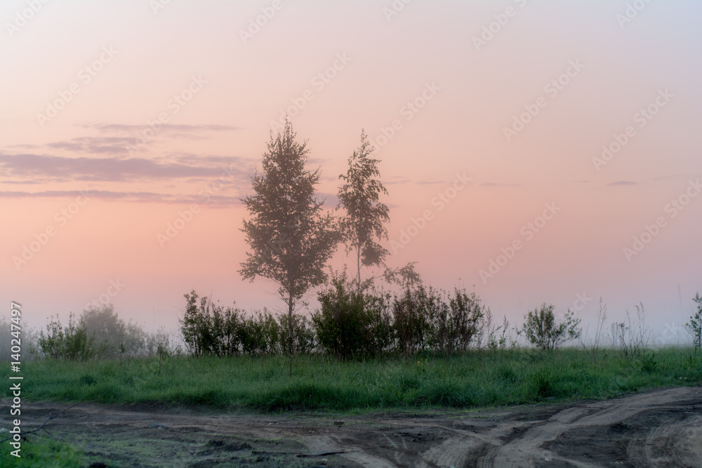 Summer evening. The trees stand in the fog.
Summer evening. The trees stand in the fog.