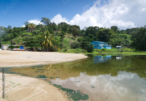 Repubblica di Trinidad e Tobago - Tobago - Parlatuvier bay - Stagno e riflessi