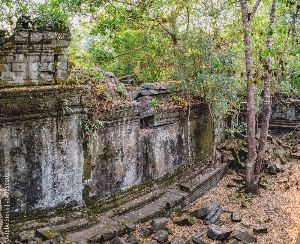 Temple wall of Prasat Beng Mealea in Angkor Complex, Siem Reap, Cambodia. Old trees and brush growing amidst towers and many stones lying in great heaps. Ancient Khmer architecture, World Heritage Temple wall of Prasat Beng Mealea in Angkor Complex, Siem Reap, Cambodia. Old trees and brush growing amidst towers and many stones lying in great heaps. Ancient Khmer architecture, World Heritage