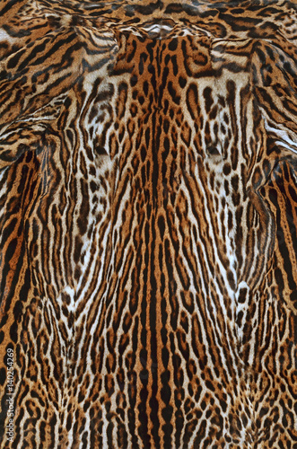 background of real fur of leopard