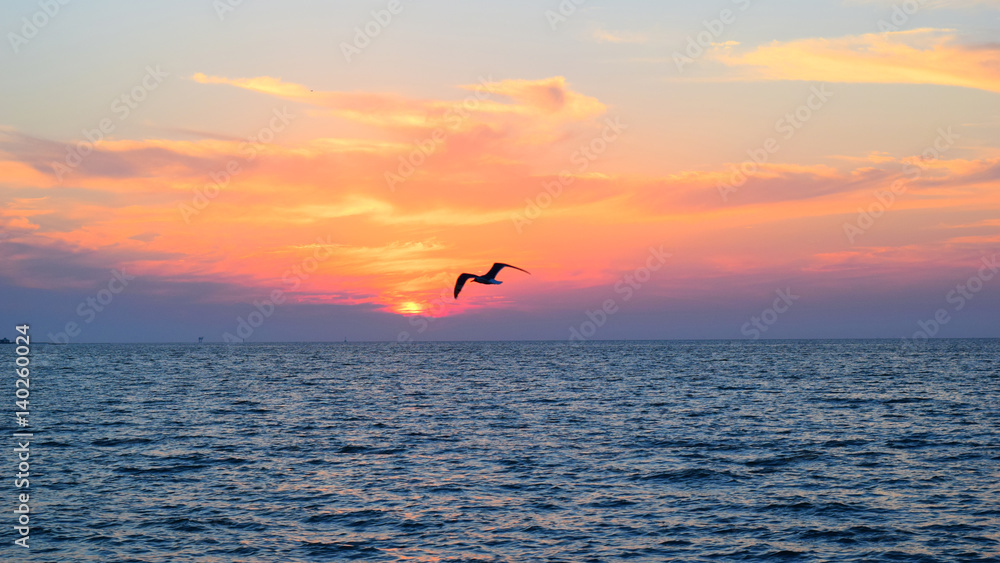 Seagull Over Sunset