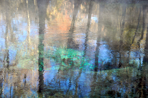Autumn reflection in spring pool.