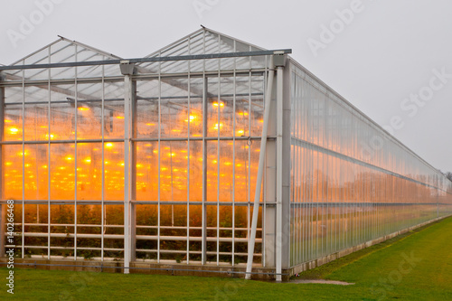 Exterior of a giant commercial glasshouse