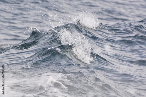 Waves (1) © M.TAKENAKA