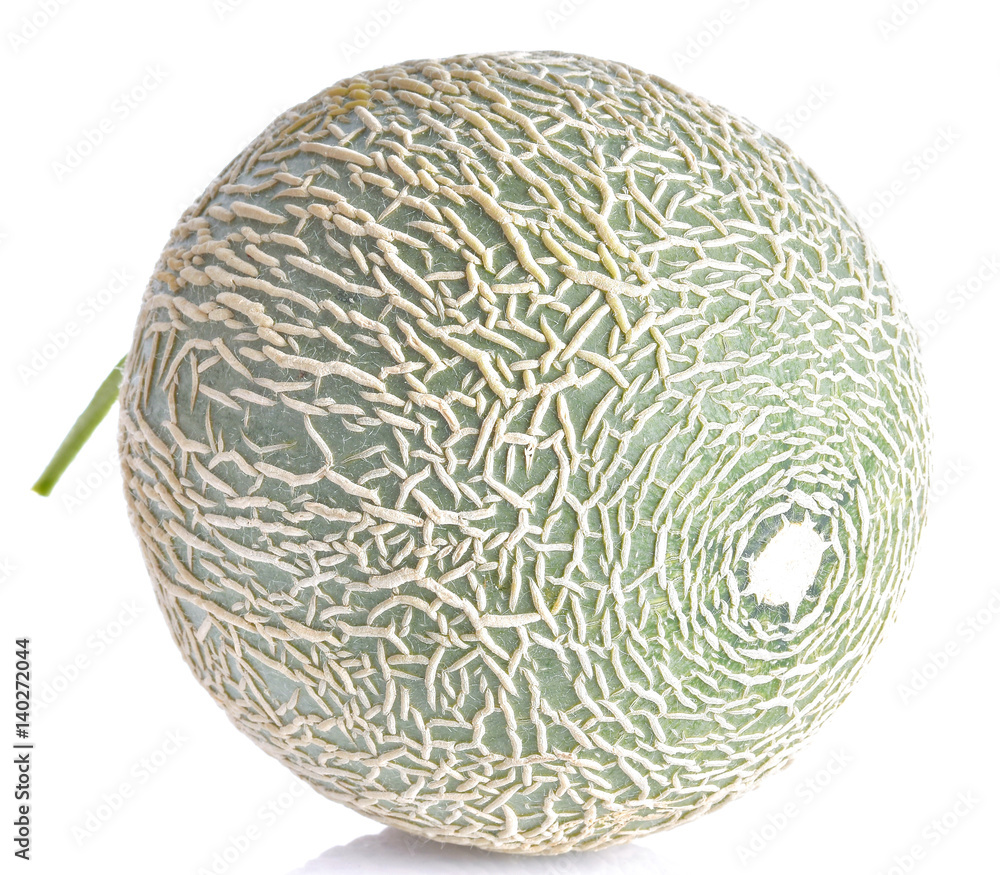 Melon on a white background Melon on a white background
